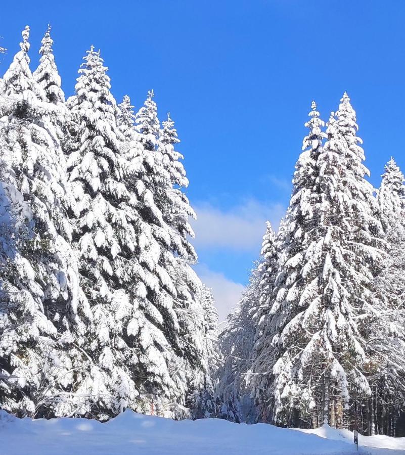 Ferienwohnung Vogelnest Im Schwarzwald Baiersbronn Kültér fotó