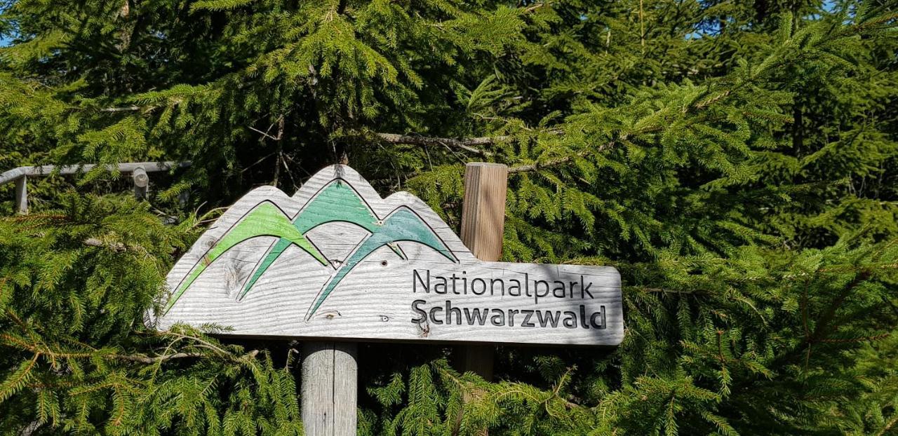 Ferienwohnung Vogelnest Im Schwarzwald Baiersbronn Kültér fotó