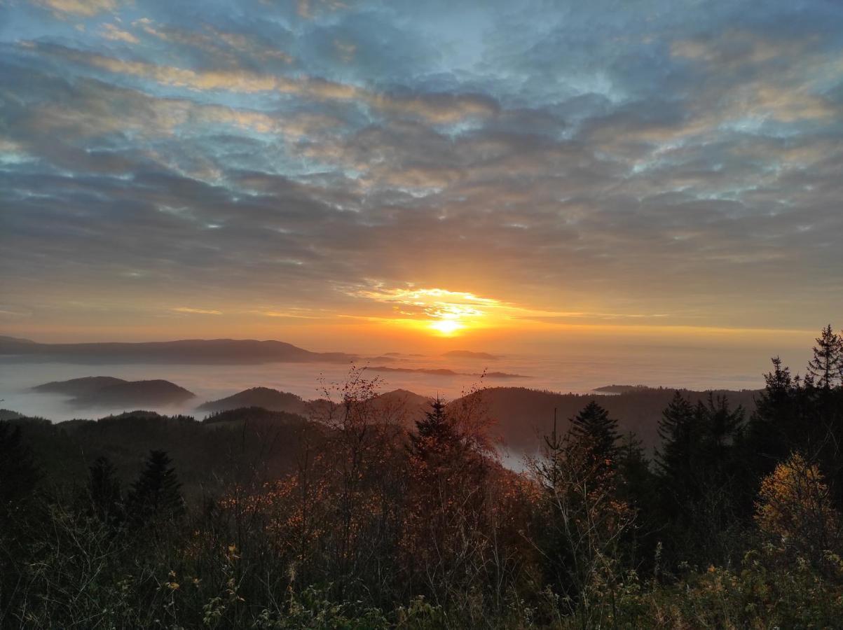 Ferienwohnung Vogelnest Im Schwarzwald Baiersbronn Kültér fotó
