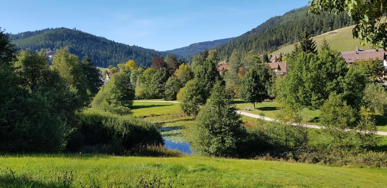 Ferienwohnung Vogelnest Im Schwarzwald Baiersbronn Kültér fotó