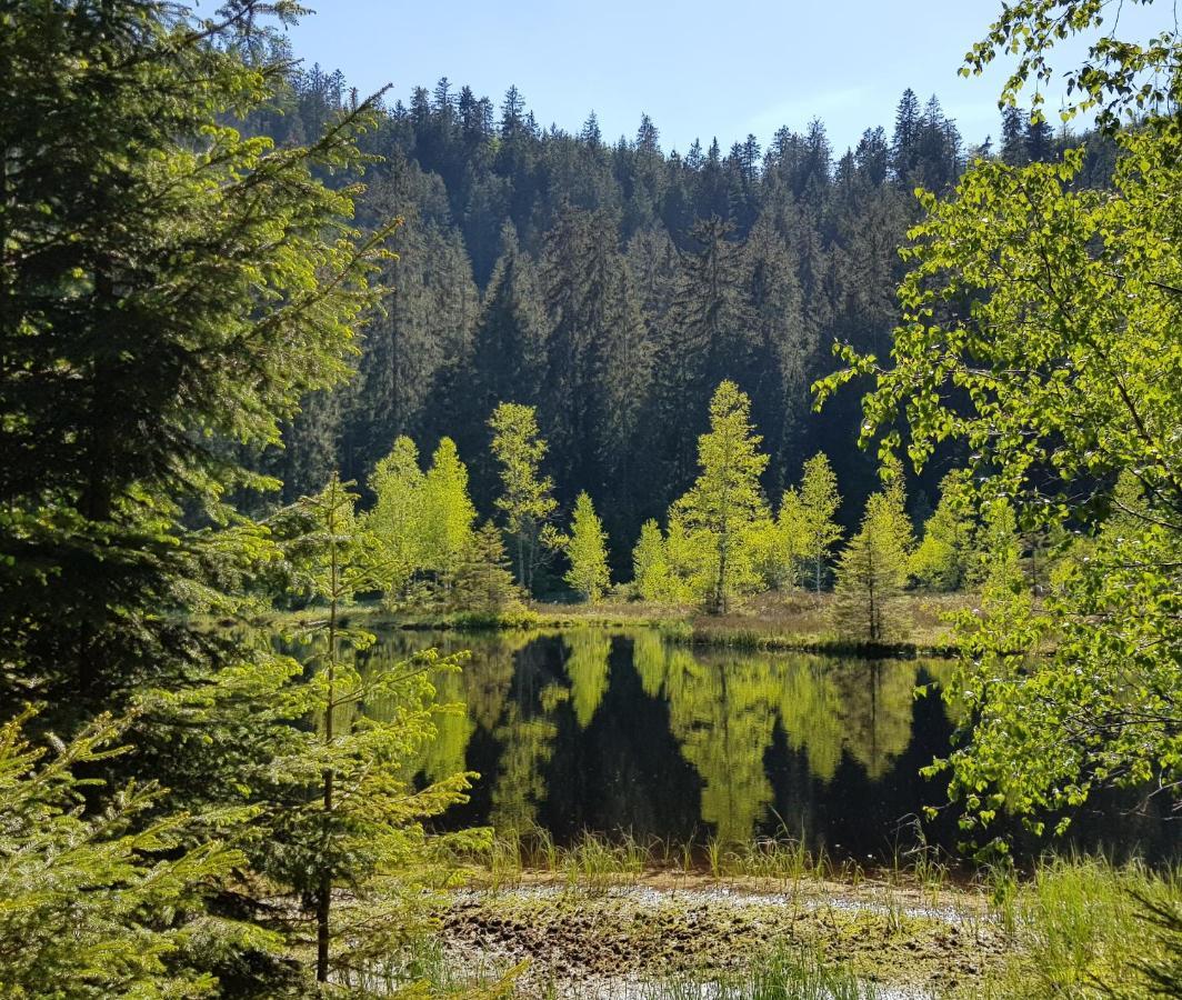 Ferienwohnung Vogelnest Im Schwarzwald Baiersbronn Kültér fotó