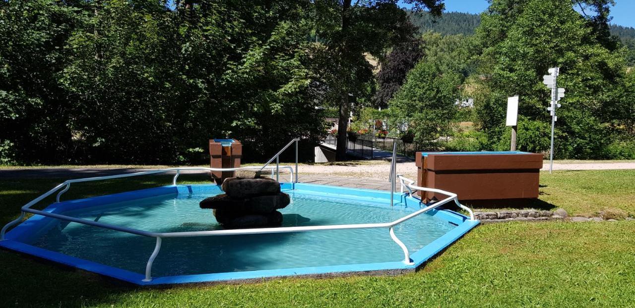 Ferienwohnung Vogelnest Im Schwarzwald Baiersbronn Kültér fotó