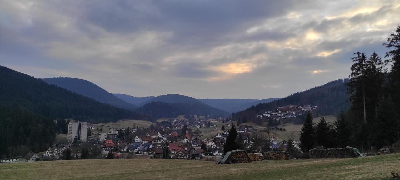 Ferienwohnung Vogelnest Im Schwarzwald Baiersbronn Kültér fotó