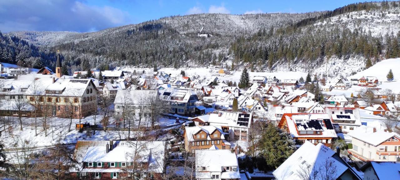 Ferienwohnung Vogelnest Im Schwarzwald Baiersbronn Kültér fotó
