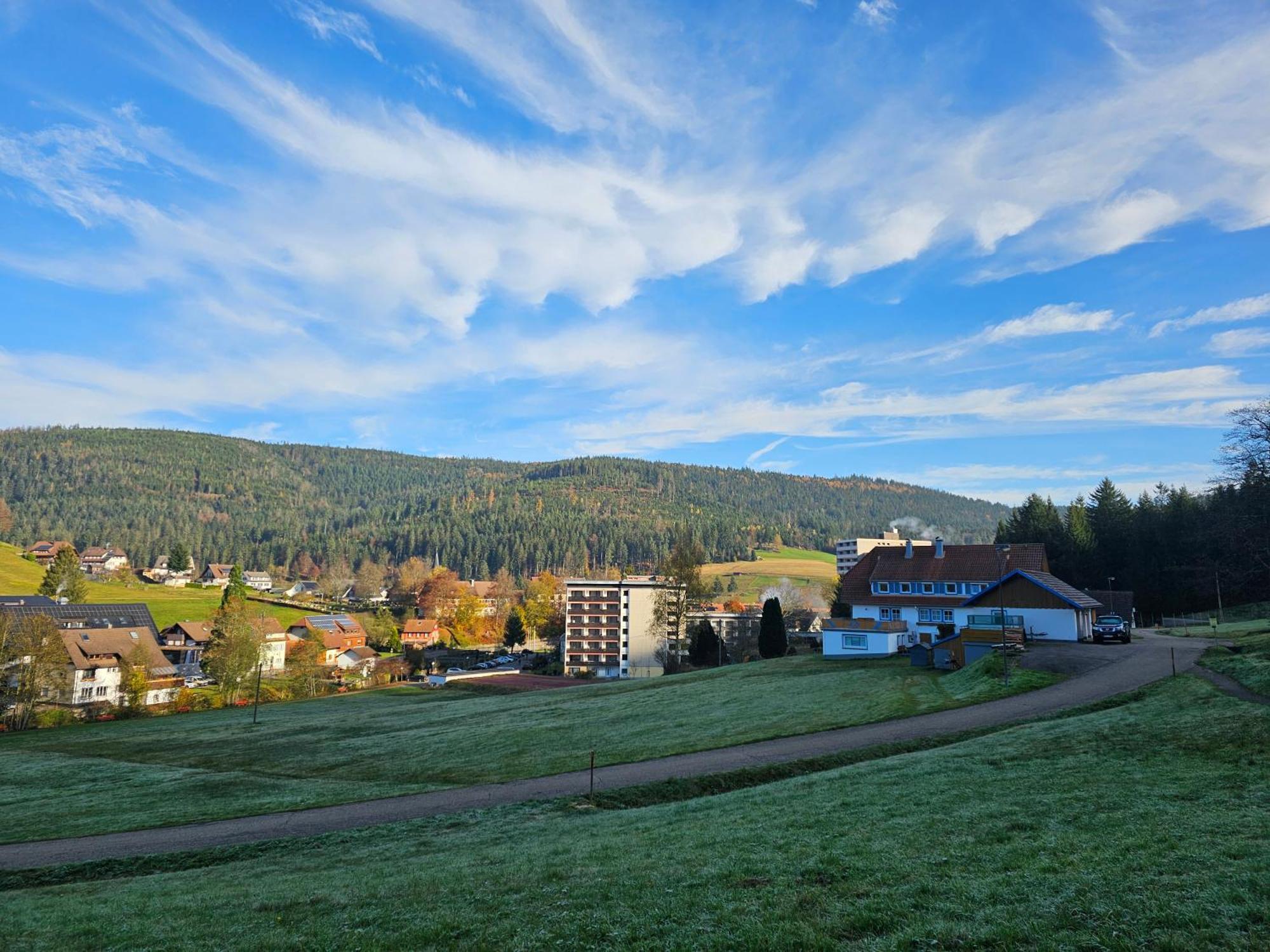 Ferienwohnung Vogelnest Im Schwarzwald Baiersbronn Kültér fotó